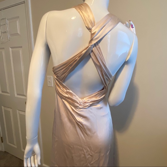 Nicole Miller Champagne Floor Length Dress - Picture 5 of 14